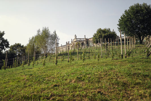 SOSTENIBILITÀ AMBIENTALE