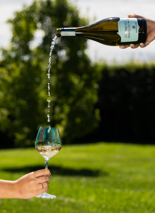 PROSECCO DOC TREVISO Frizzante